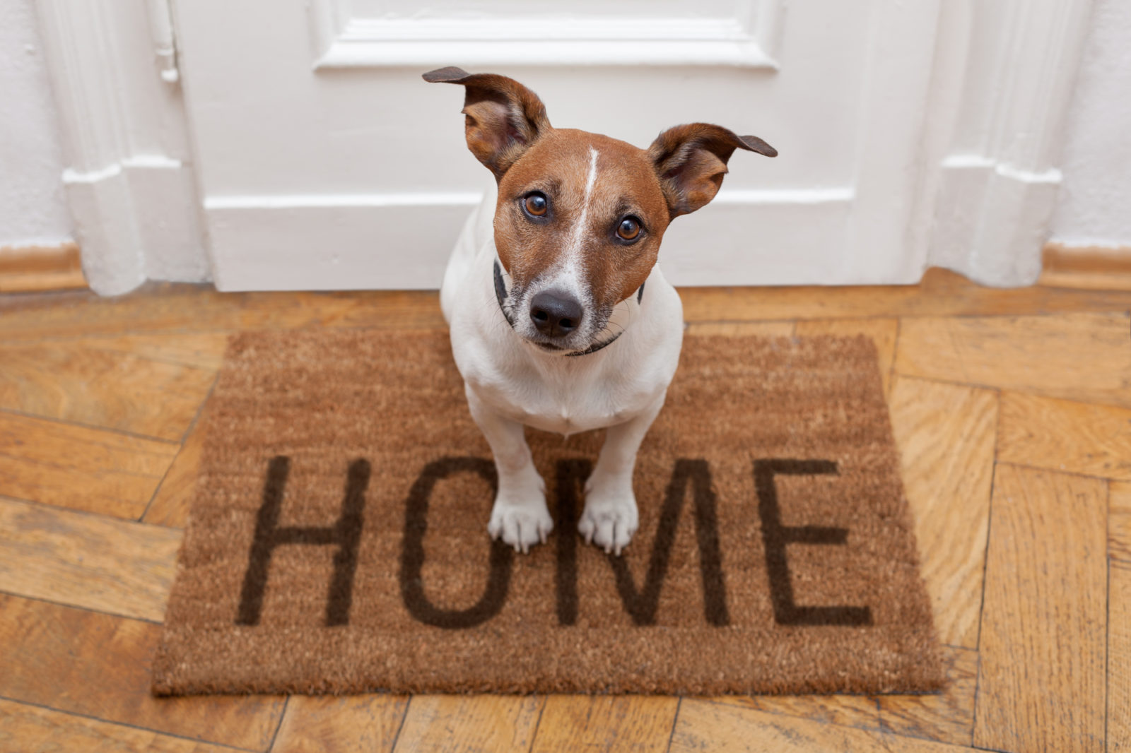 Homeowners Insurance in Quincy, MA, Alton, NH, Hingham, Braintree